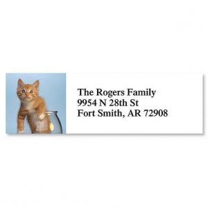 Kitty Kapers Classic Address Labels