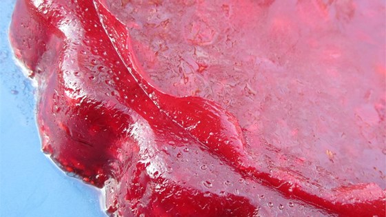 Holiday Cran-Raspberry Gelatin Mold recipe